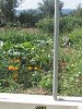 Cliquez ici pour voir l'image (Porto204.jpg)
