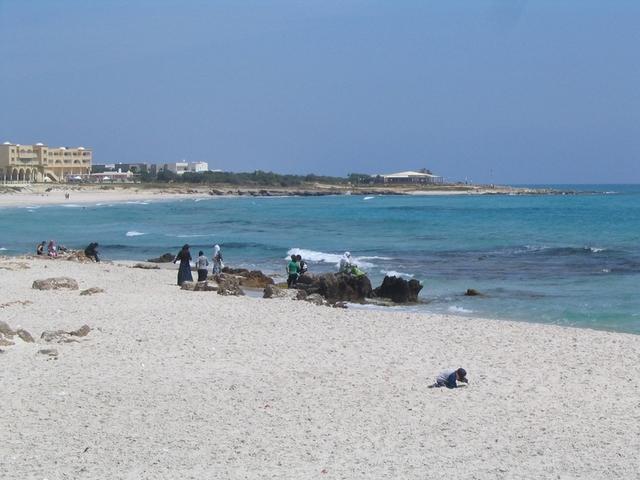 cap bon-073