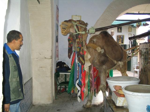 kairouan-042