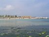 Cliquez ici pour voir l'image (monastir-001.jpg)